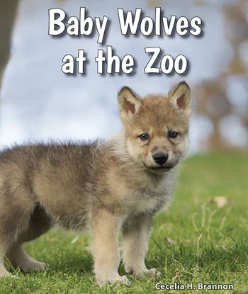 Baby Wolves at the Zoo - 9780766071643 by Cecelia H. Brannon, 9780766071643