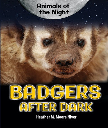 Badgers After Dark - 9780766071681 by Heather Moore Niver, 9780766071681