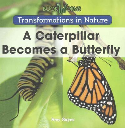 A Caterpillar Becomes a Butterfly by Amy Hayes, 9781502608222