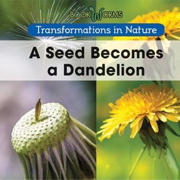 A Seed Becomes a Dandelion - 9781502608284 by Amy Hayes, 9781502608284