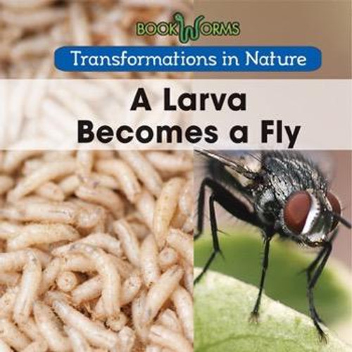 A Larva Becomes a Fly - 9781502608321 by Amy Hayes, 9781502608321