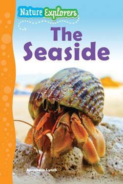 The Seaside - 9781508190752 by Annabelle Lynch, 9781508190752