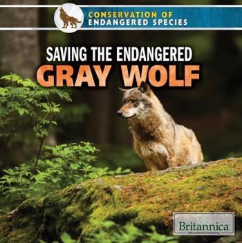 Saving the Endangered Gray Wolf - 9781680482508 by Shalini Saxena, 9781680482508