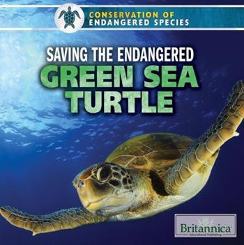 Saving the Endangered Green Sea Turtle - 9781680482515 by Sarah Machajewski, 9781680482515