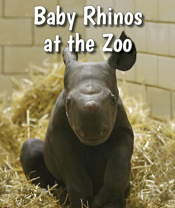 Baby Rhinos at the Zoo by Cecelia H. Brannon, 9780766075580