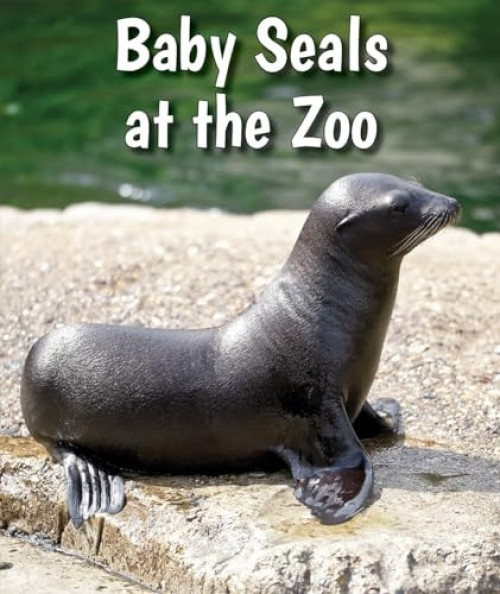 Baby Seals at the Zoo - 9780766075764 by Cecelia H. Brannon