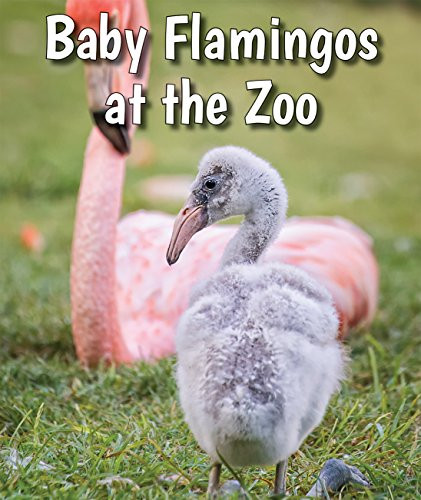 Baby Flamingos at the Zoo - 9780766075818 by Cecelia H. Brannon, 9780766075818