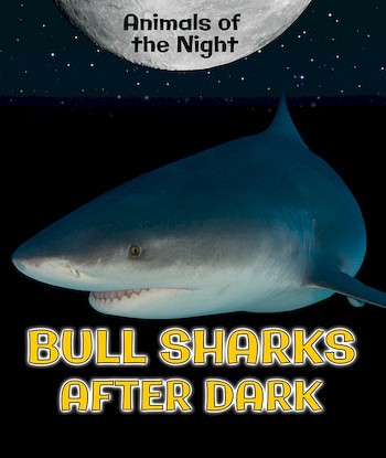 Bull Sharks After Dark by Heather Moore Niver, 9780766077126