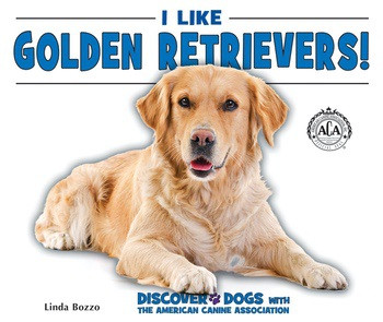 I Like Golden Retrievers! by Linda Bozzo, 9780766077768