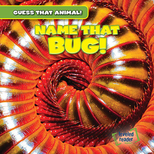 Name That Bug! - 9781482447514 by Demi Jackson, 9781482447514