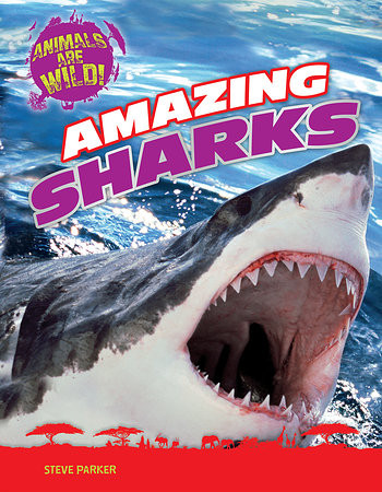 Amazing Sharks by Steve Parker, 9781482450187