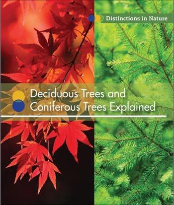 Deciduous Trees and Coniferous Trees Explained - 9781502617699 by Alicia Z. Klepeis, 9781502617699
