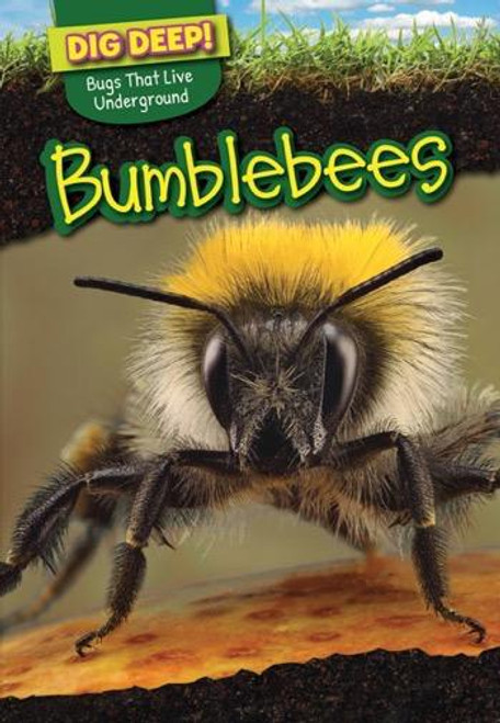Bumblebees - 9781499420487 by Omar Stone, 9781499420487