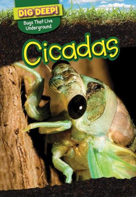Cicadas - 9781499420524 by Linda Buellis, 9781499420524