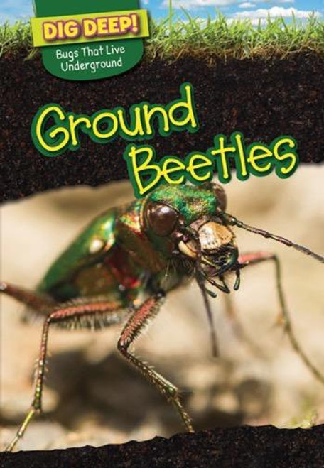 Ground Beetles - 9781499420562 by Erin Long, 9781499420562