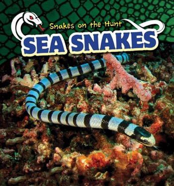Sea Snakes - 9781499422085 by Gale George, 9781499422085