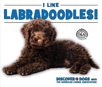 I Like Labradoodles! by Linda Bozzo, 9780766081697