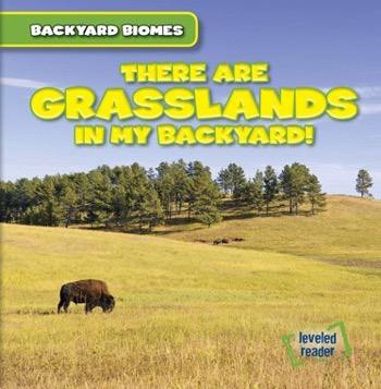 There Are Grasslands in My Backyard! by Walter LaPlante, 9781482455519
