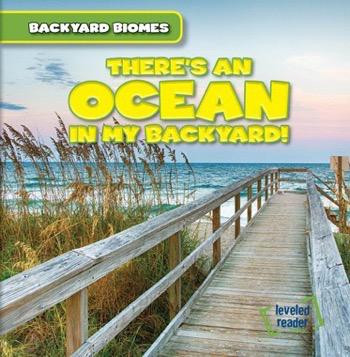 There's an Ocean in My Backyard! - 9781482455694 by Seth Lynch, 9781482455694