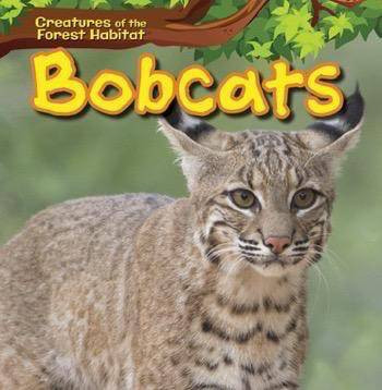 Bobcats - 9781499429305 by Caitie McAneney, 9781499429305