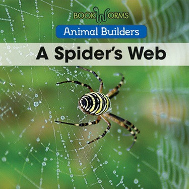 A Spider's Web - 9781502620736 by Erika de Nijs, 9781502620736