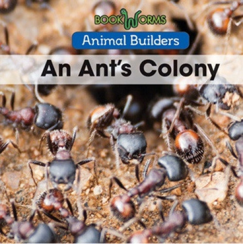 An Ant's Colony by Erika de Nijs, 9781502620750