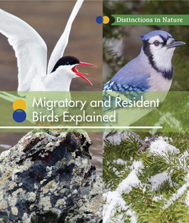 Migratory and Resident Birds Explained - 9781502621719 by Ruth Bjorklund, 9781502621719