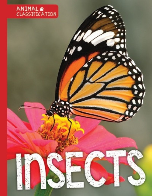 Insects - 9781534520134 by Charlie Ogden