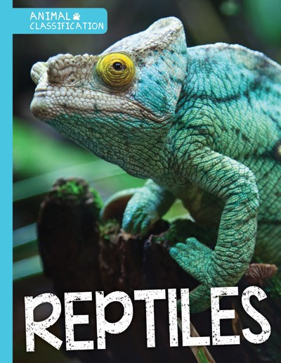 Reptiles - 9781534520233 by Steffi Cavell-Clarke, 9781534520233