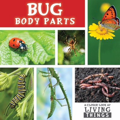 Bug Body Parts - 9781534520639 by Steffi Cavell-Clarke, 9781534520639