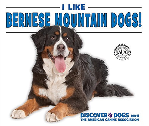 I Like Bernese Mountain Dogs! by Linda Bozzo, 9780766086364