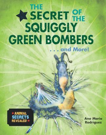 The Secret of the Squiggly Green Bombers...and More! - 9780766088498 by Ana María Rodríguez, 9780766088498