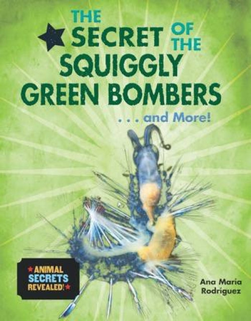 The Secret of the Squiggly Green Bombers...and More! - 9780766088498 by Ana María Rodríguez