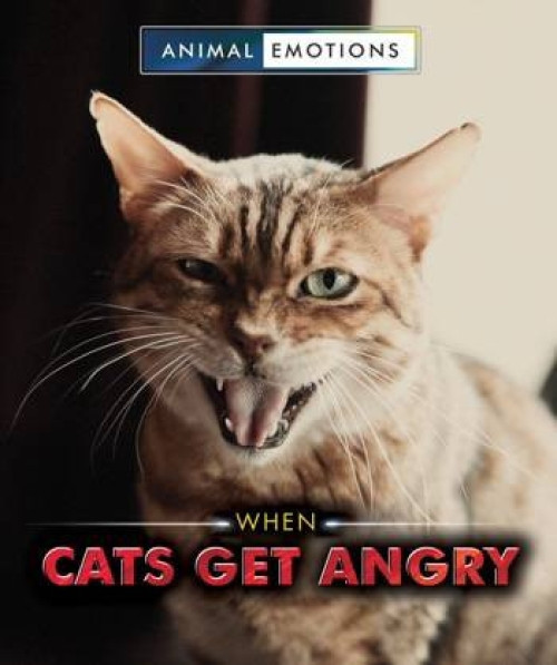 When Cats Get Angry - 9780766088658 by Heather Moore Niver
