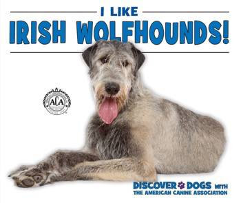 I Like Irish Wolfhounds! - 9780766088771 by Linda Bozzo, 9780766088771