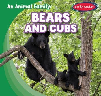 Bears and Cubs by Polly LeChance, 9781482463699