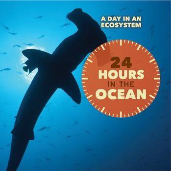 24 Hours in the Ocean by Laura Sullivan, 9781502624789