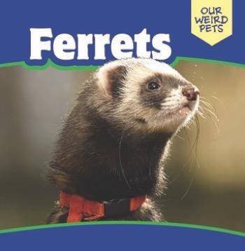 Ferrets - 9781508154167 by Mia Bennett, 9781508154167