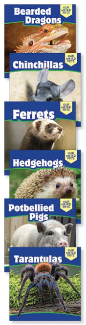 Our Weird Pets - 9781508154334