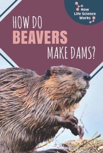 How Do Beavers Make Dams? - 9781508156444 by Dorothy Jennings, 9781508156444