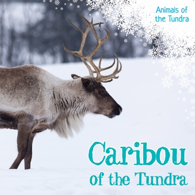 Caribou of the Tundra by Amy B. Rogers, 9781534522237