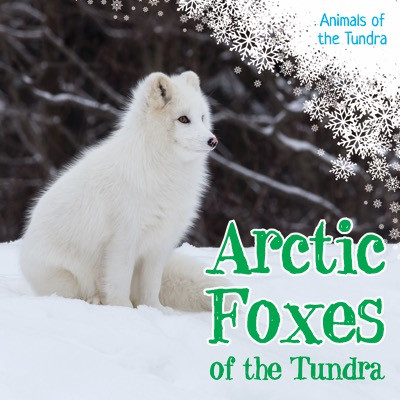 Arctic Foxes of the Tundra by Joyce Jeffries, 9781534522244
