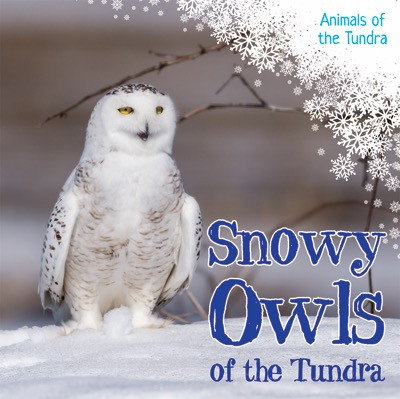 Snowy Owls of the Tundra by Riley Lawrence, 9781534522268