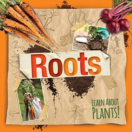 Roots - 9781534522459 by Steffi Cavell-Clarke