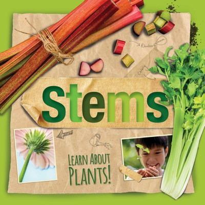 Stems - 9781534523234 by Steffi Cavell-Clarke, 9781534523234