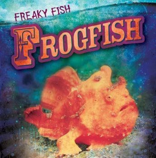 Frogfish - 9781538202593 by Tanya Dellaccio