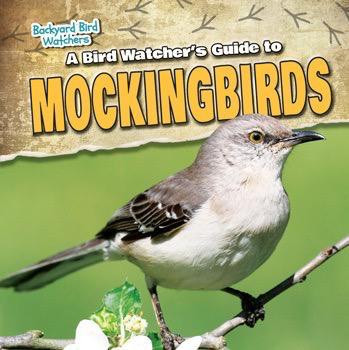 A Bird Watcher's Guide to Mockingbirds by Aife Arnim, 9781538203194