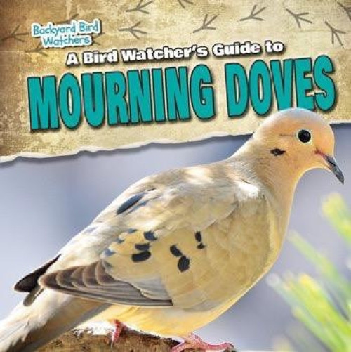 A Bird Watcher's Guide to Mourning Doves by Aife Arnim, 9781538203231