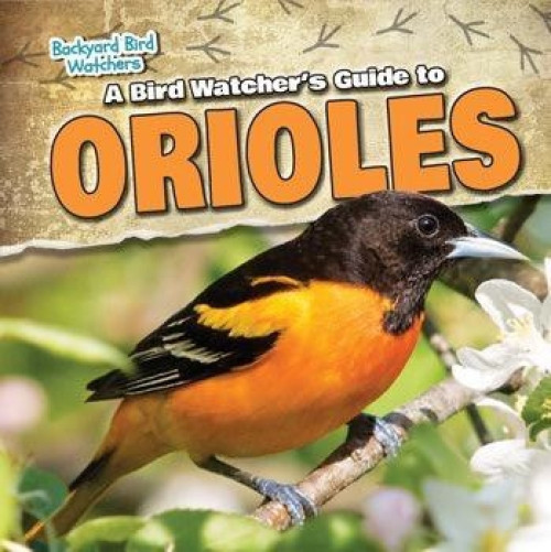 A Bird Watcher's Guide to Orioles by Grace Elora, 9781538203279
