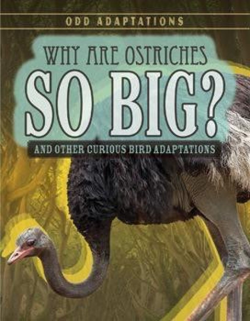 Why Are Ostriches So Big? (And Other Curious Bird Adaptations) by Patricia Fletcher, 9781538203866